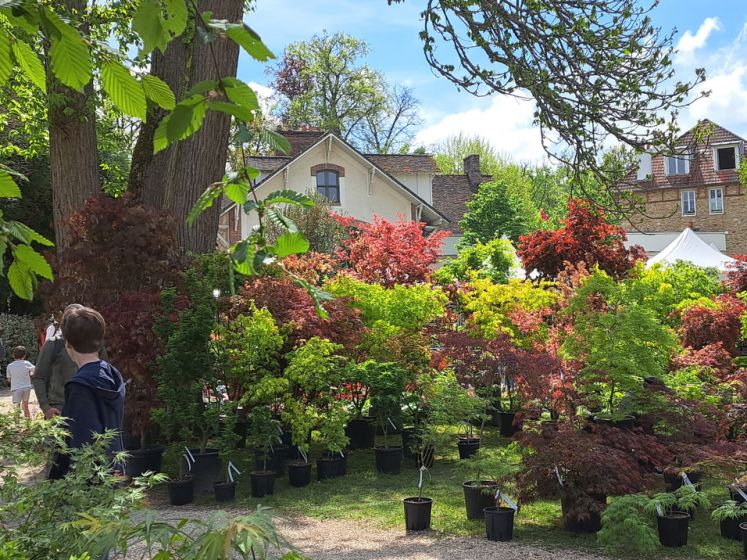 Fête des Parcs et Jardins à Barbizon 2026 : les Jardins du Monde