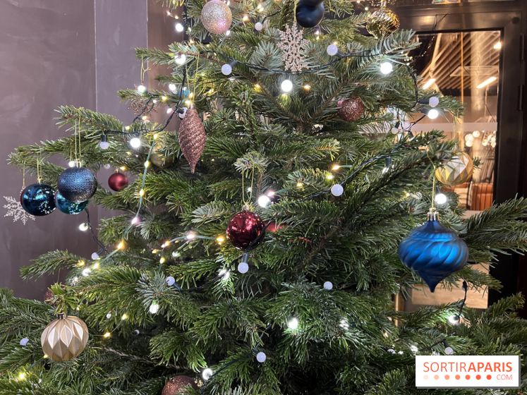 Le Marché de Noël de Thoiry 2025 - 78