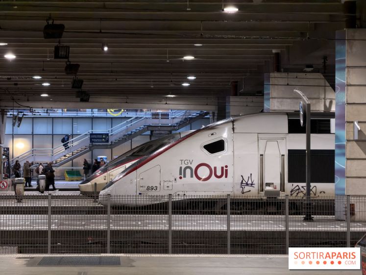 Tempête Goretti, les lignes de train SNCF interrompus vers Paris