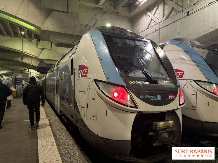 Transports à Paris et en Ile-de-France : les perturbations RER, métro du 16 au 22 février