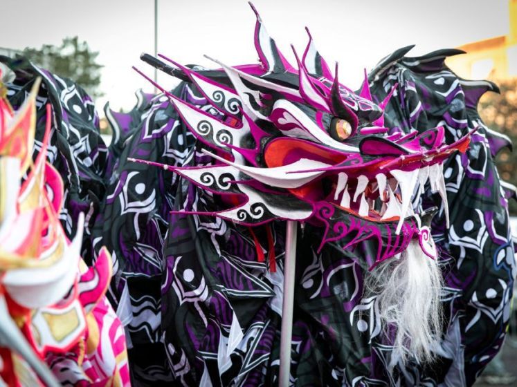 Nouvel An Lunaire 2024 : parade, feu d'artifices, spectacles et ateliers à Cergy (95)