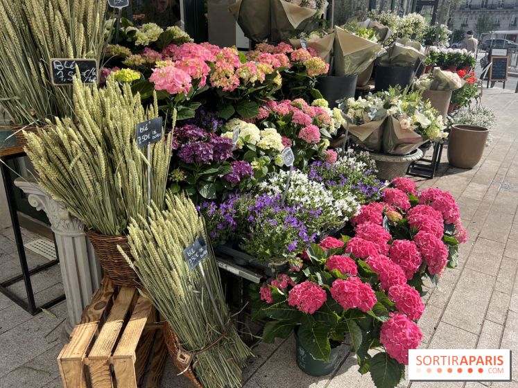 La Fête des Jardins de Sois-y en Essonne 2026