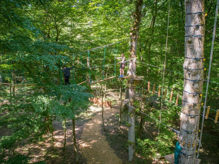 Jumping Forest, le parcours d'accrobranche ludique en forêt en seine-et-Marne (77)