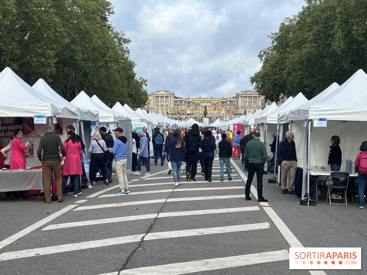 Brocantes et vide-greniers des Yvelines ce week-end dans le 78
