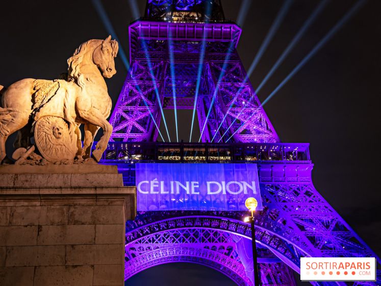 Concert de Céline Dion : 9 millions de pré-inscriptions, un record !