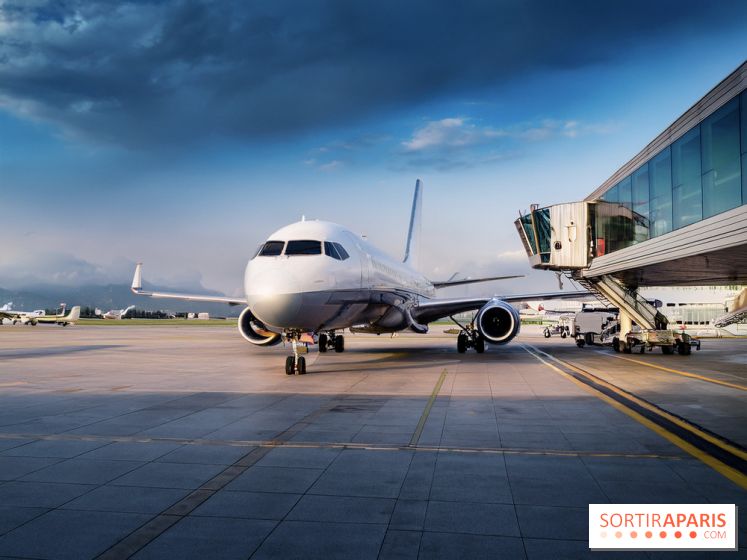 Vols annulés Transavia en mai et juin 2026 : êtes-vous concerné et que faire ?