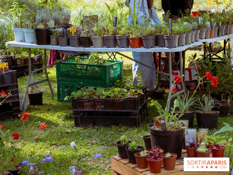Les Naturiales 2026 à Fontainebleau : marché de plantes et animations nature en Seine-et-Marne