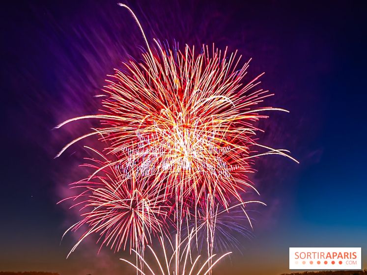 Seine-et-Marne, les feux d'artifice du 14 juillet interdits dans les zones sensibles