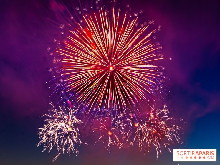 Après l'Essonne, les Yvelines, le Val d'Oise et la Seine-et-Marne interdisent les feux d'artifice