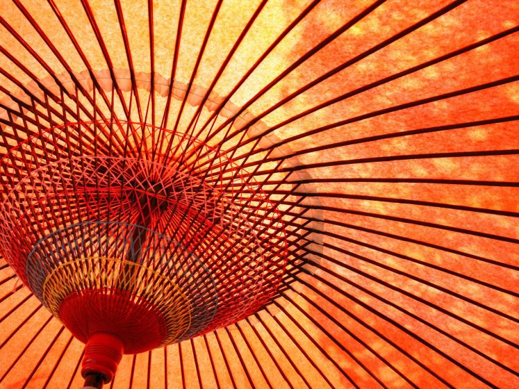 Fête de la musique 2025 : concert de musique traditionnelle japonaise dans le 15e à Paris