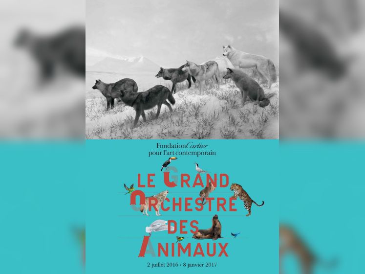 Le Grand Orchestre des animaux, l'expo à la Fondation Cartier
