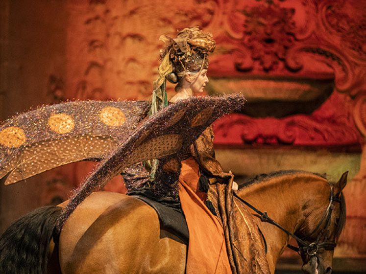 Le Songe d'une Nuit d'hiver, spectacle de Noël aux Grandes Écuries de Chantilly