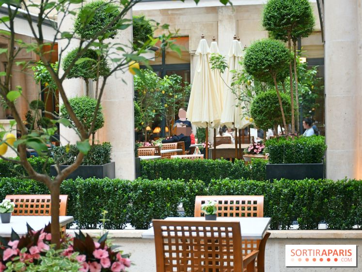 Café Jeanne : restaurant et belle terrasse au cœur du Park Hyatt Paris-Vendôme