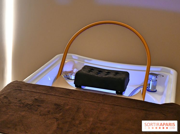 NESSPA head spa capillaire