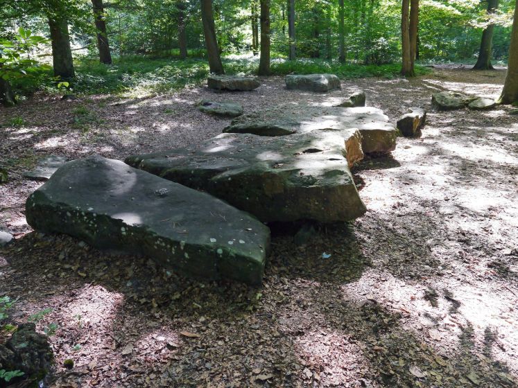 Voici le plus important monument du mégalithique d'Île-de-France