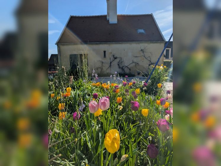Ce jardin sensoriel s’anime pour les Rendez-Vous aux Jardins 2026 en île-de-France