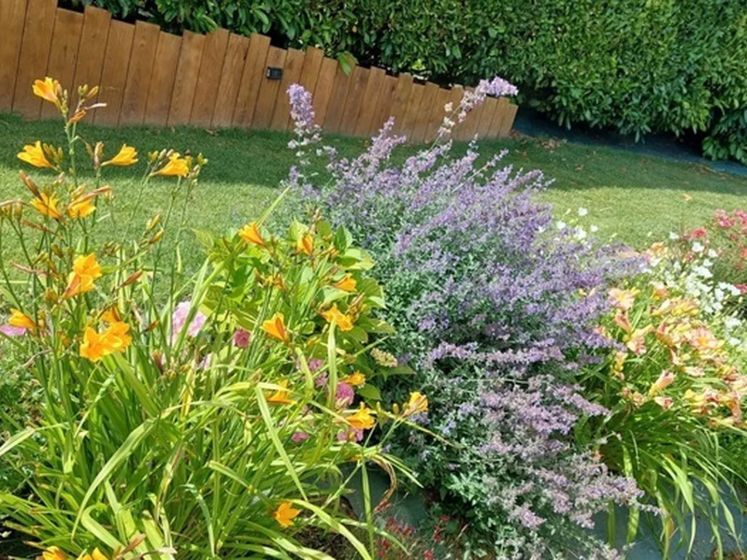 Créez votre " Parfum d'âme" lors d'un atelier champêtre pour les Rendez-Vous aux Jardins 2026 