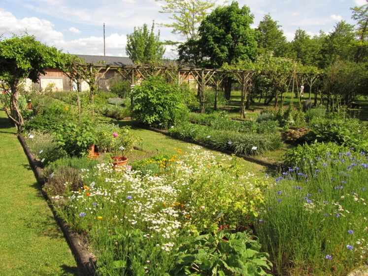 Explorez ce conservatoire botanique à l'occasion des Rendez-Vous aux Jardins 2026