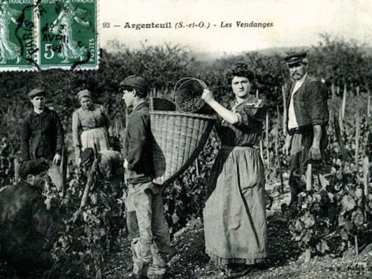 Cette ville aux portes de Paris était autrefois l'un des vignobles les plus prolifiques de la région !