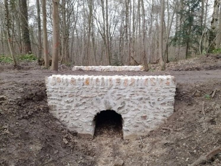 Bois de Chaville