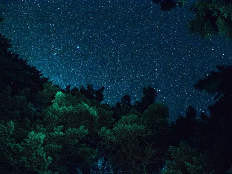 Paris sous les étoiles : observer les étoiles depuis les parcs parisiens