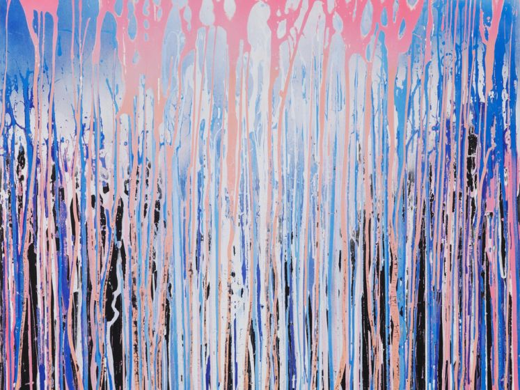 Dragon Ball Xenoverse 3