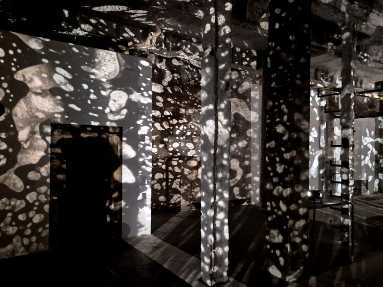 Nuit Blanche 2026 Drawing Lab