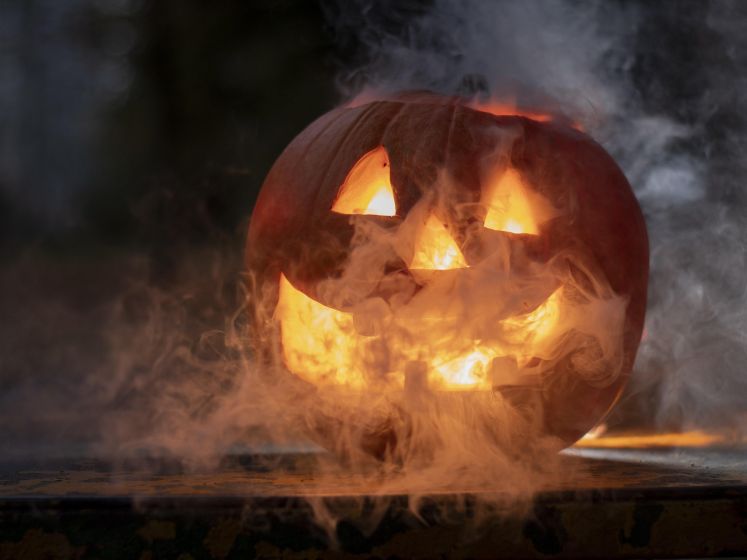 Halloween 2026 : chasse au trésor et maison hantée à la bibliothèque Maurice Genevoix