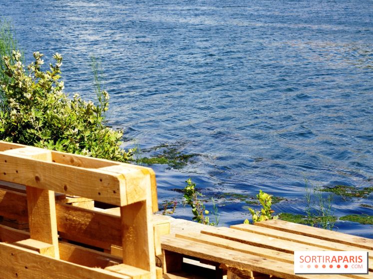 Rosa à l'Ouest : Rosa Bonheur sur les Quais d'Asnières-sur-Seine