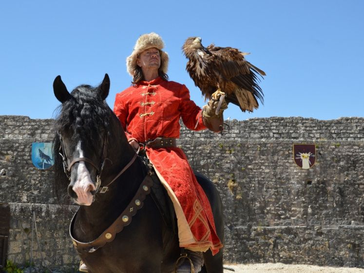 Les Aigles des Remparts de Provins, le spectacle de fauconnerie dans la cité médiévale