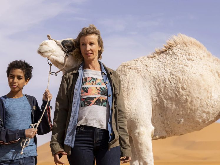 Zodi et Tehu : frères du désert