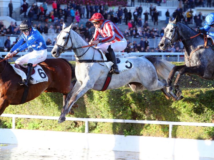 Grand Steeple-Chase de Paris 2020 à l'Hippodrome d'Auteuil 