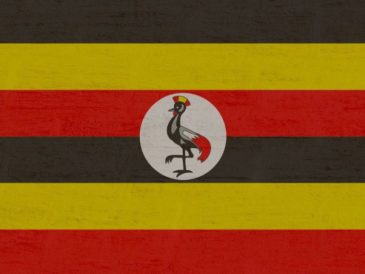 JO de Paris 2024 : Les médailles d'or, d'argent et de bronze de l'Ouganda aux Jeux Olympiques