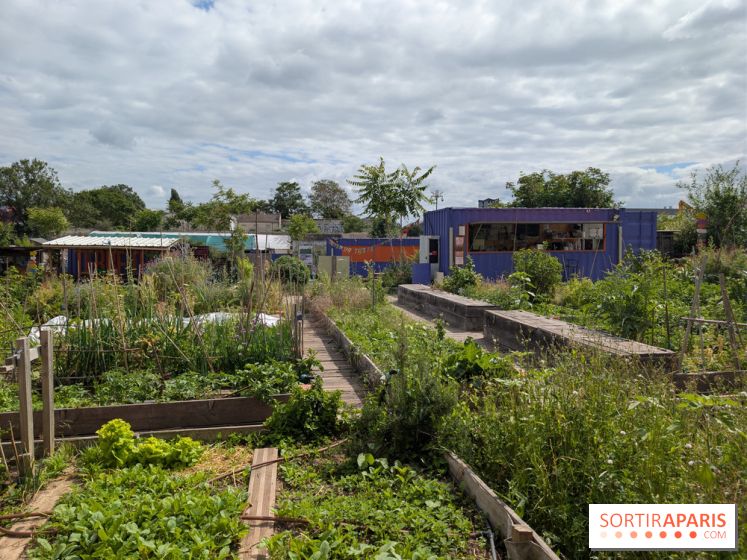 Terre Terre, la ferme-guinguette qui pousse au bord du canal à Aubervilliers (93)