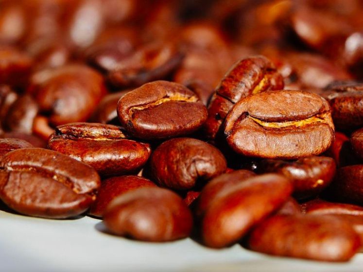 Le salon Paris Coffee Show 2022 au Parc Floral