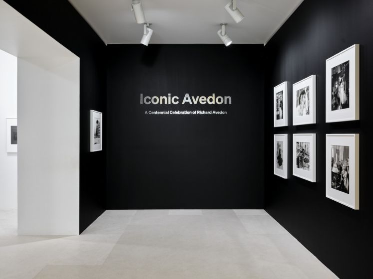 Expo Avedon