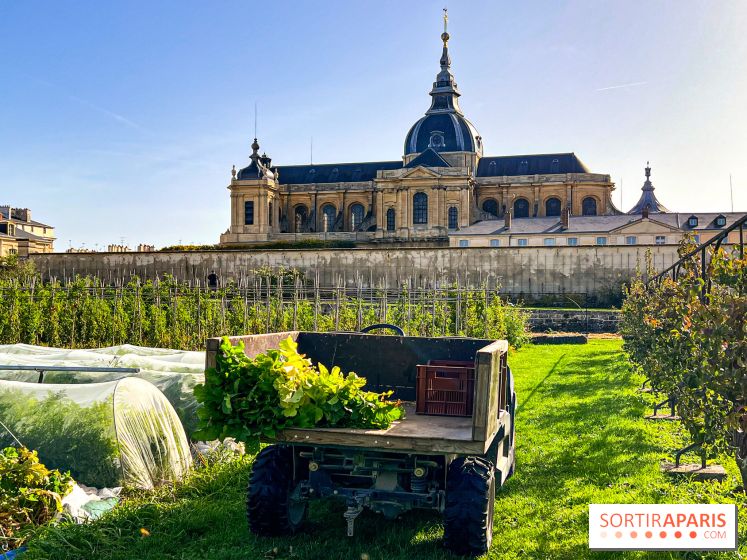Les Saveurs du Potager du Roi à Versailles : marché de fruits & légumes, expositions et animations