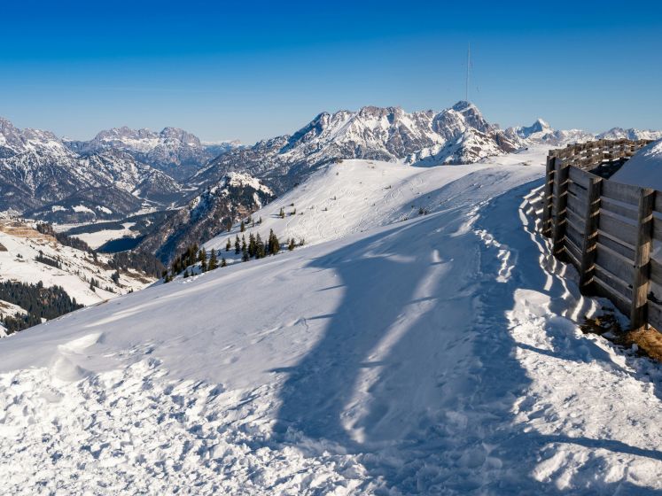 Un nouveau train de nuit reliera Paris aux Alpes (Bourg-Saint-Maurice en Savoie) à l’hiver 2025 -  Travelski Night Express