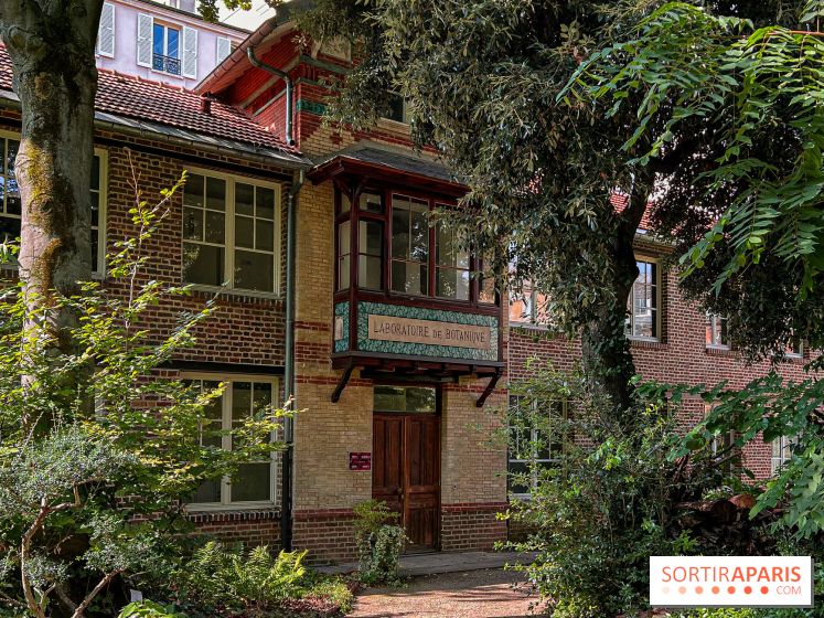 Le jardin botanique de la Faculté de Pharmacie en visite