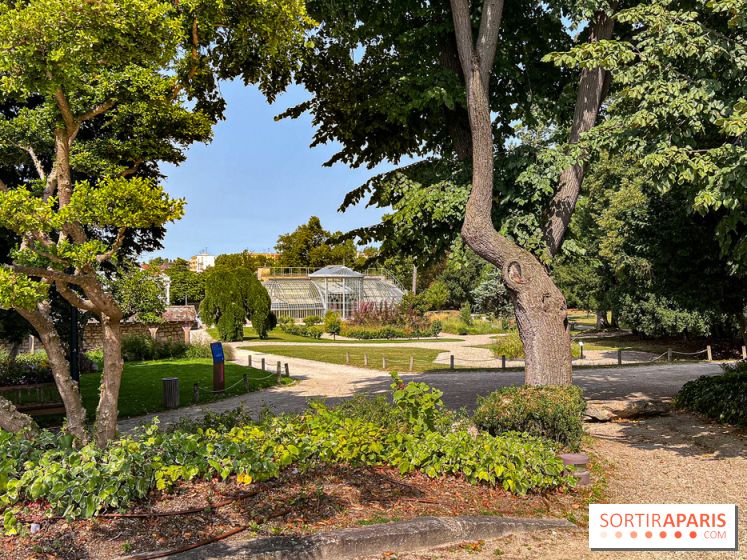 Color Run 2025 : course solidaire Conflans