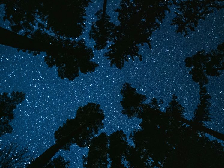 Une expérience immersive et sensorielle à vivre les yeux fermés depuis un transat suspendu à Sceaux (92)