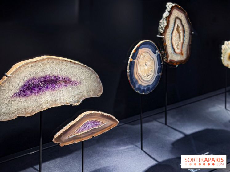 Rêveries de pierres : l'exposition rétrospective gratuite à l'Ecole des Arts Joailliers