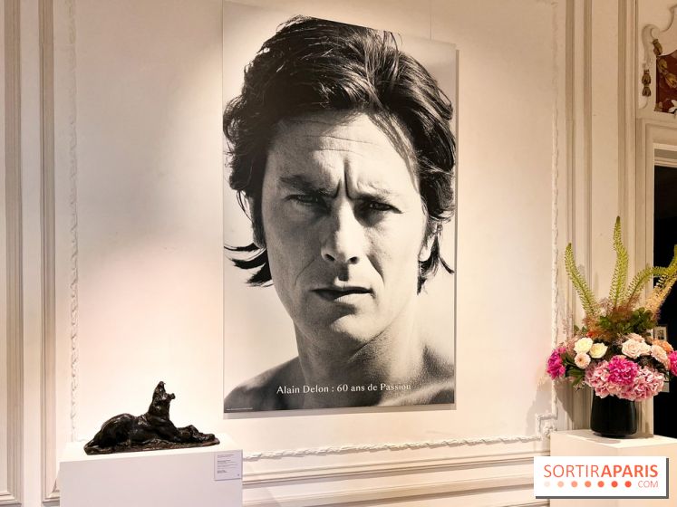 L'exposition gratuite de la collection des chefs-d'œuvres d'Alain Delon à Paris