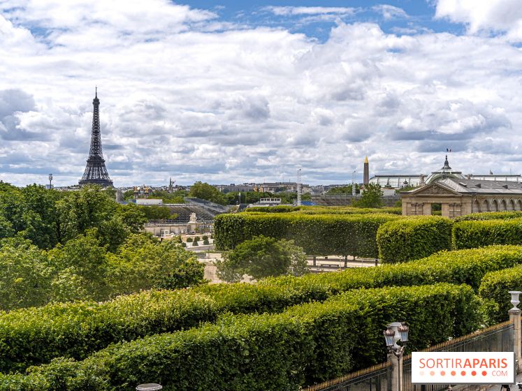 visuel Paris visuel  - Tuileries - tour eiffel