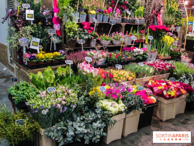 Visuel Paris marché d'Aligre fleurs