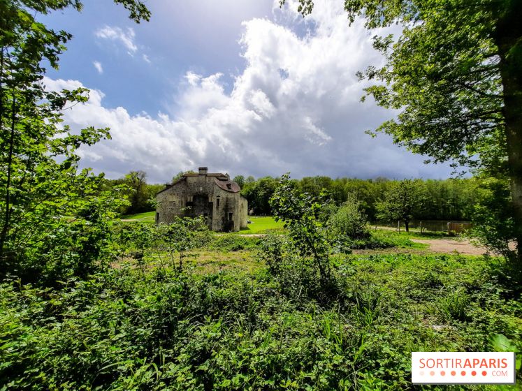 Visuel Paris balade forêt île de france