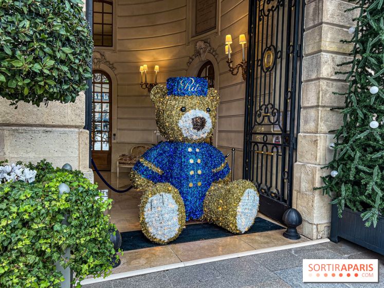 Paris visuel - noel Paris - ritz Paris