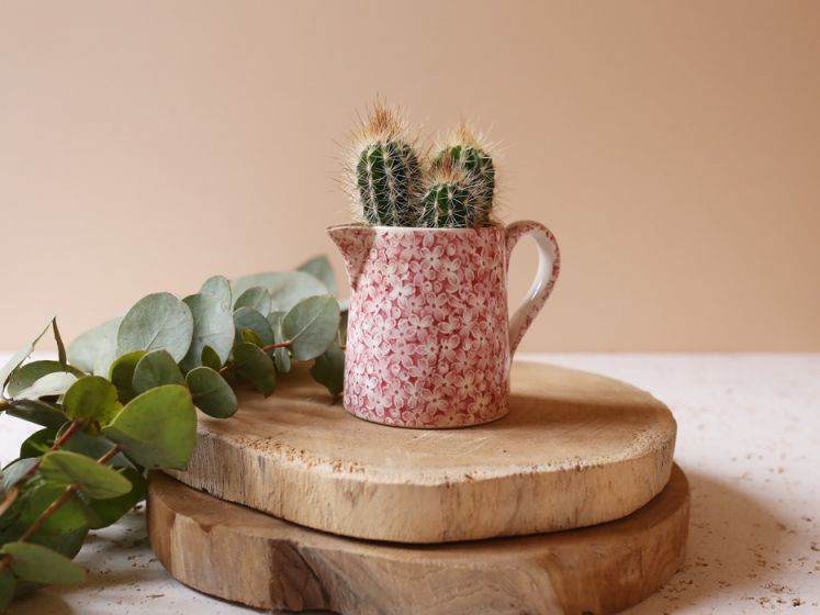 The Blond Cactus, quand le cactus passe en mode vintage