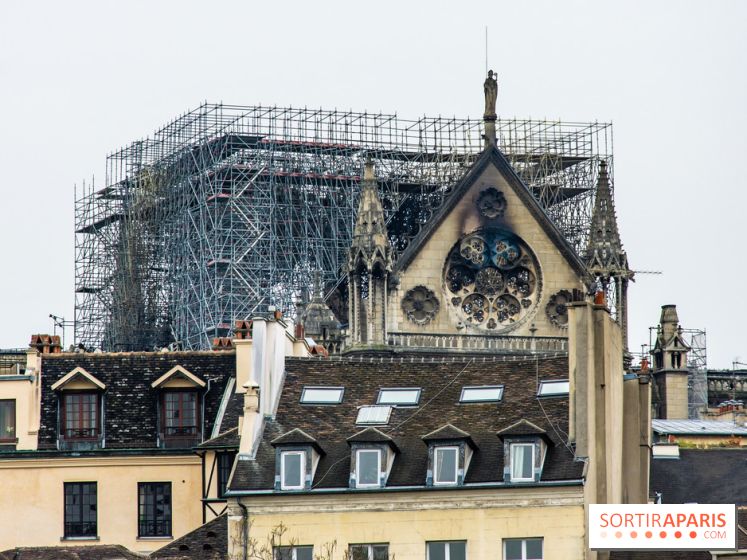 Notre Dame de Paris, les photos des dégâts