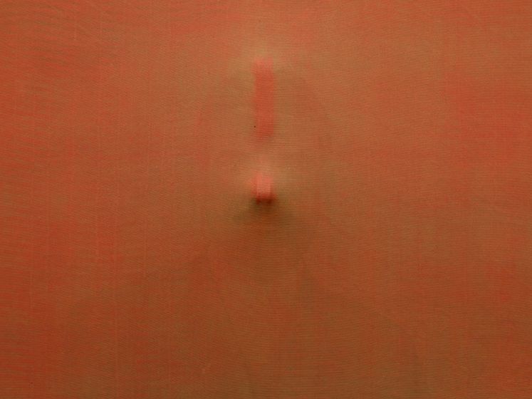 Nuit Blanche 2024 : une installation entre nature et culture à la Galerie Saint-Séverin